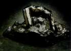 Filename=Rodin_Danaid.jpg
Filesize=43KiB
Dimensions=839x600
Date added=Jun 03, 2011 Rodin_Danaid.jpg
