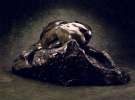 Filename=Rodin_Danaid_back~0.jpg
Filesize=41KiB
Dimensions=800x590
Date added=Jun 05, 2011 Rodin_Danaid_back~0.jpg